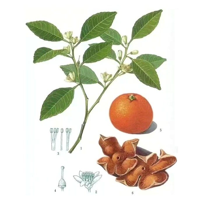 Natuurlijk ethylisovaleraat CAS 108-64-5